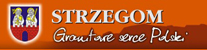 strzegom.jpg